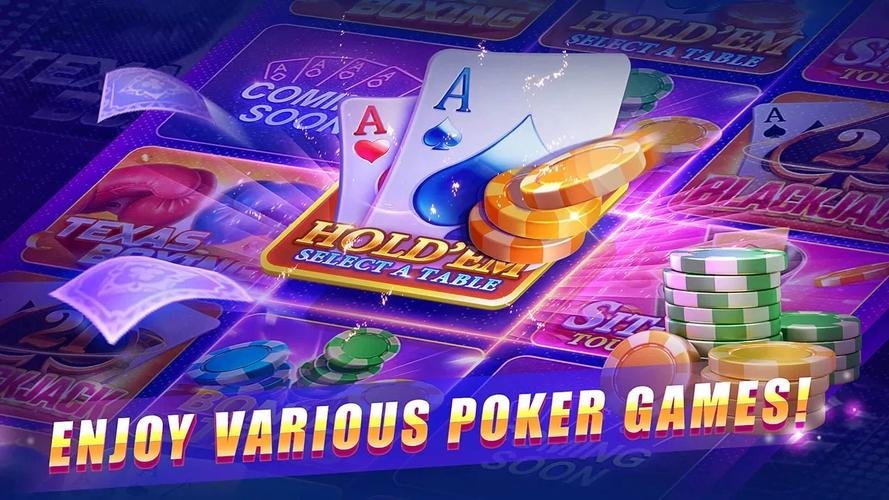 tinbet cassino